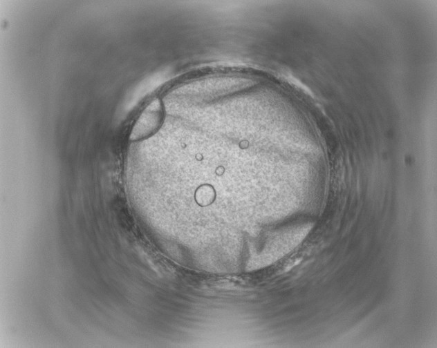 X0000059061255200511041719