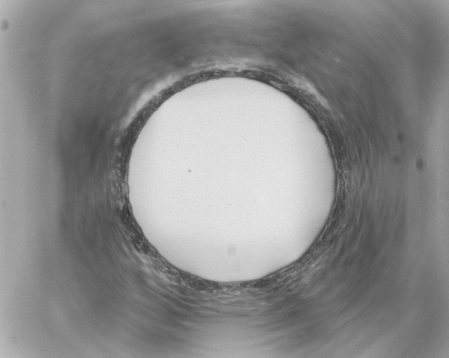 X0000059061256200511041719