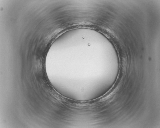 X0000059061257200511041719