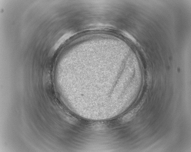 X0000059061259200511041719