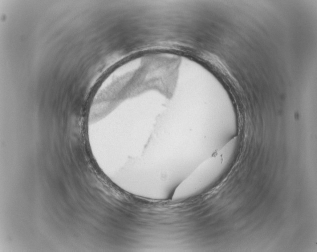 X0000059061260200511041719