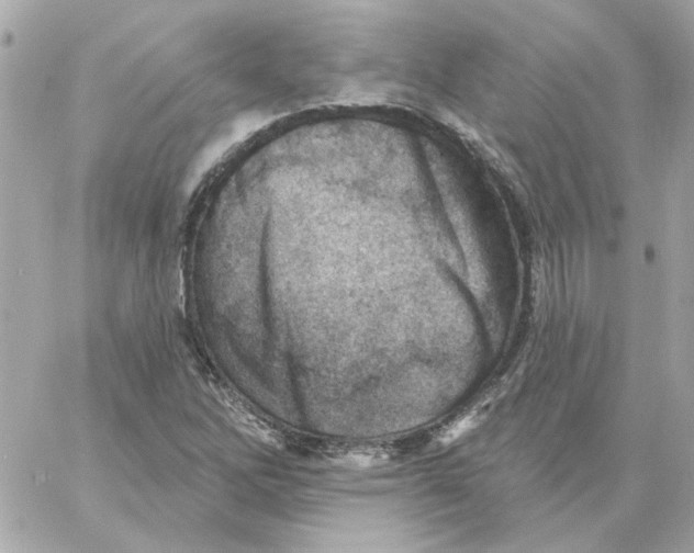 X0000059061262200511041719