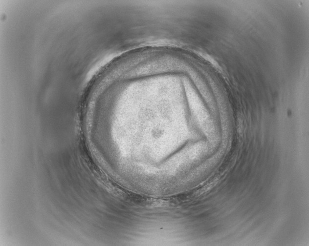 X0000059061263200511041719