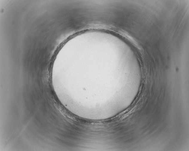 X0000059061264200511041719