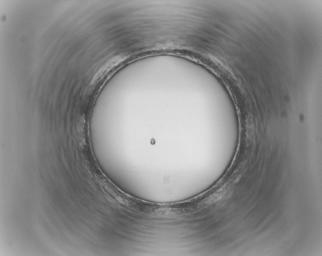 X0000059061265200511041719