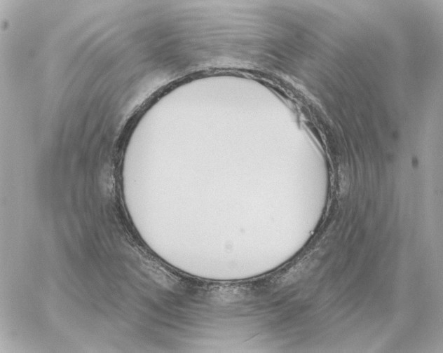 X0000059061266200511041719