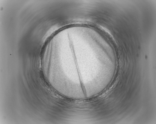 X0000059061267200511041719