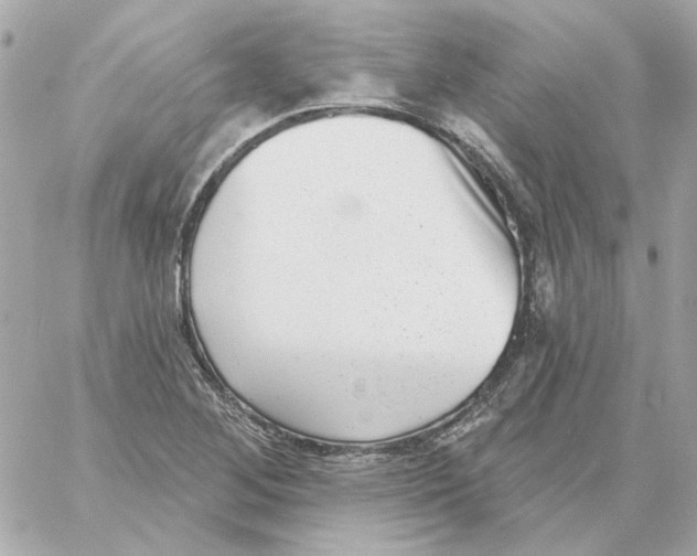 X0000059061268200511041719