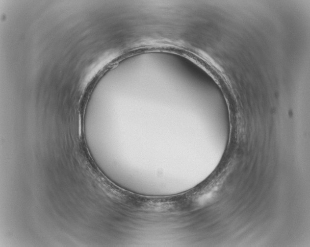 X0000059061269200511041719