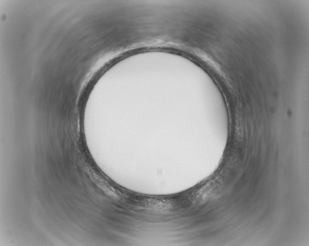 X0000059061270200511041719