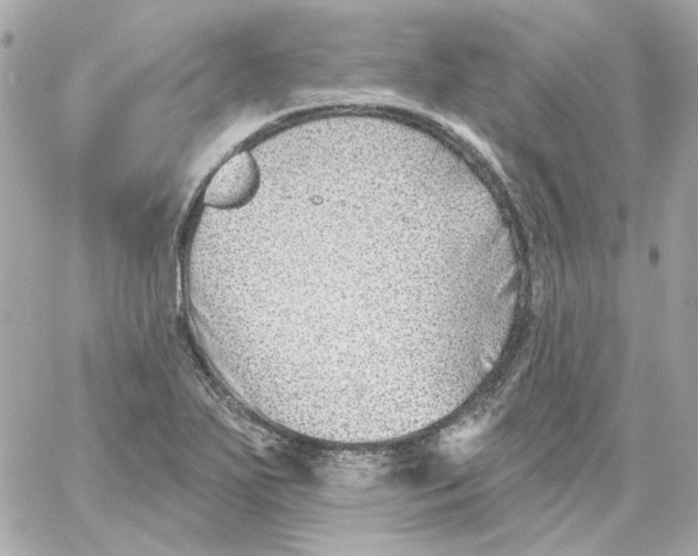 X0000059061271200511041719