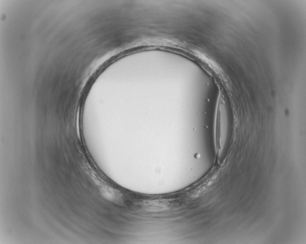 X0000059061272200511041719