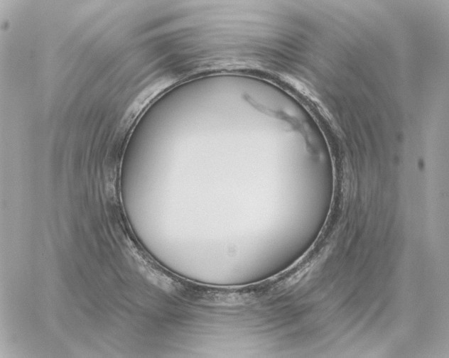 X0000059061273200511041719