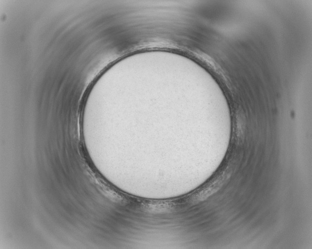 X0000059061274200511041719