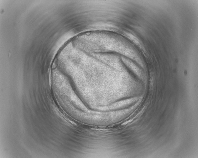 X0000059061275200511041719