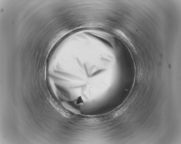 X0000059061276200511041719