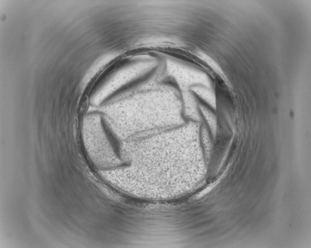 X0000059061277200511041719