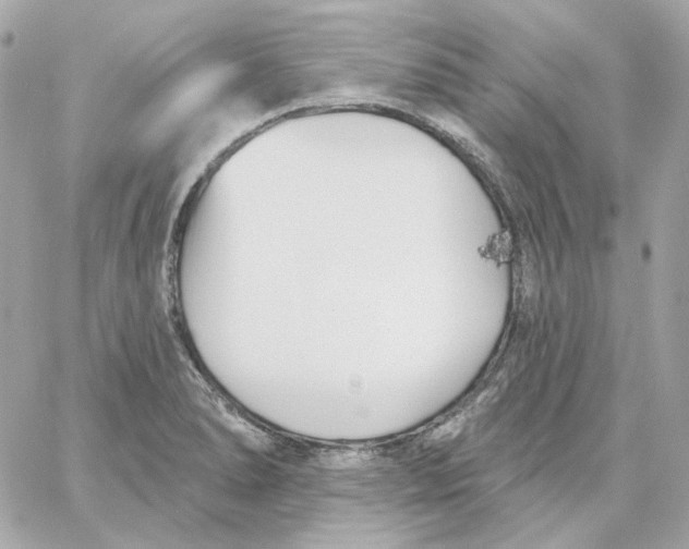 X0000059061278200511041719