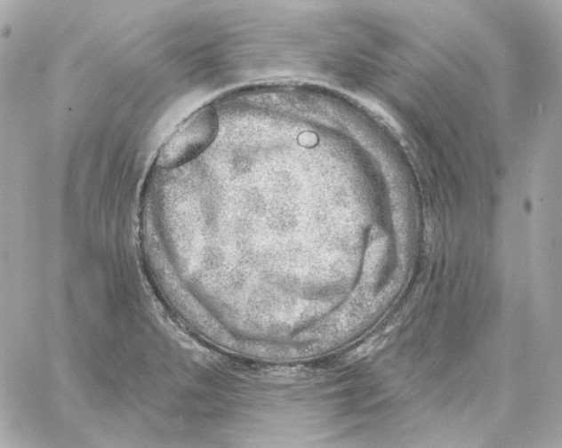 X0000059061279200511041719