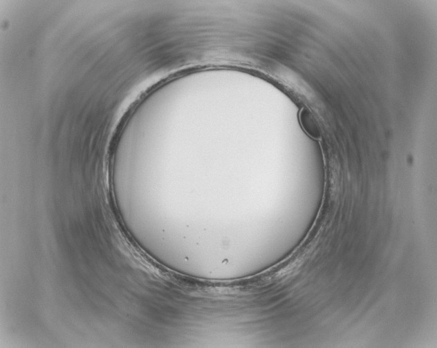 X0000059061280200511041719