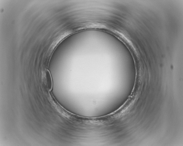 X0000059061281200511041719