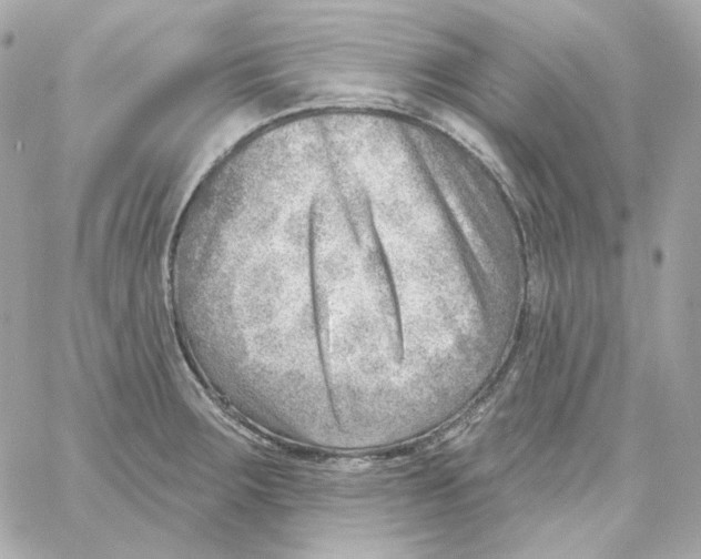 X0000059061283200511041719