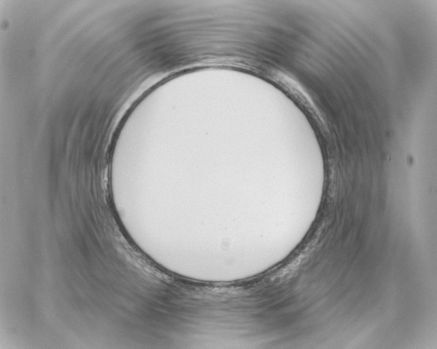 X0000059061284200511041719