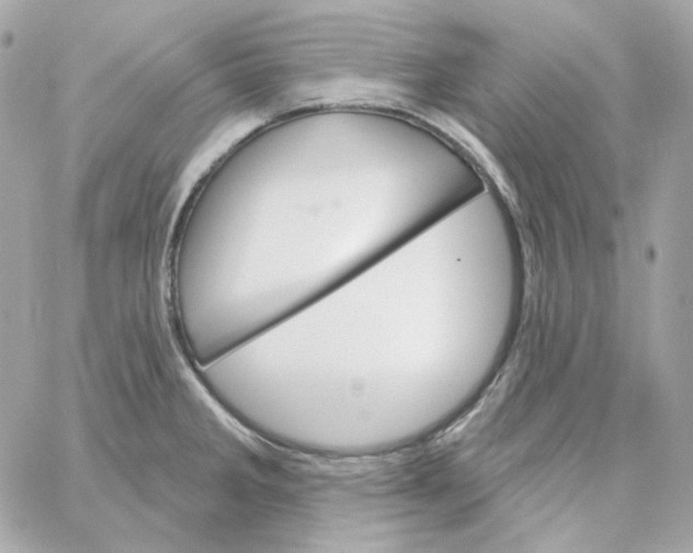 X0000059061285200511041719