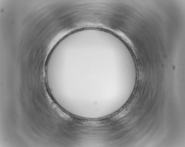 X0000059061287200511041719