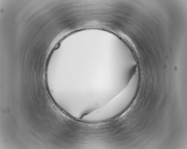 X0000059061288200511041719