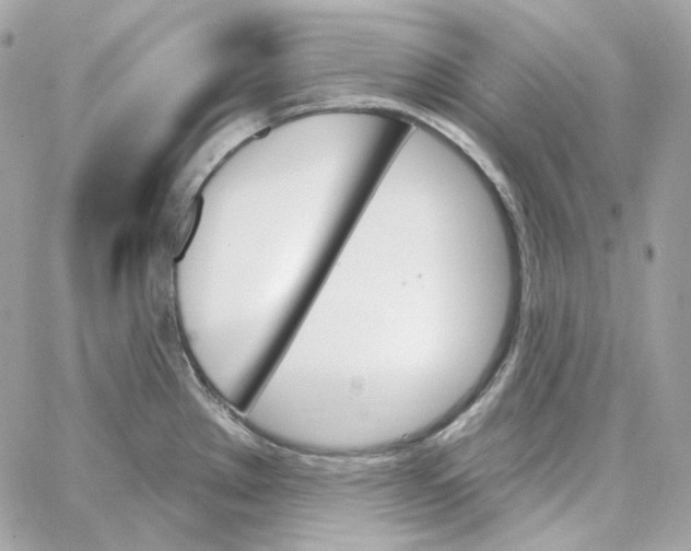 X0000059061289200511041719