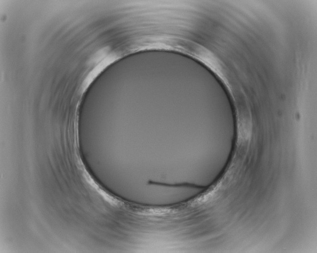 X0000059061290200511041719