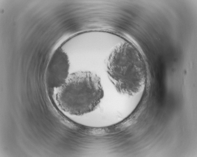 X0000059061291200511041719