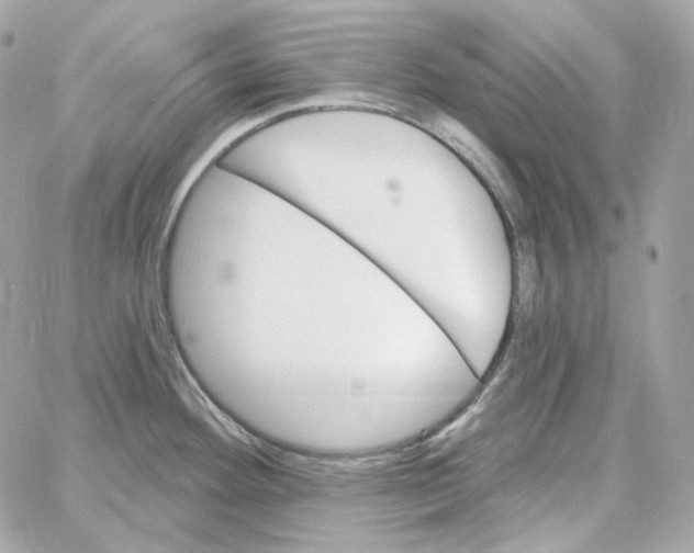 X0000059061292200511041719