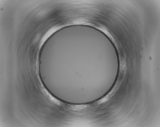 X0000059061294200511041719