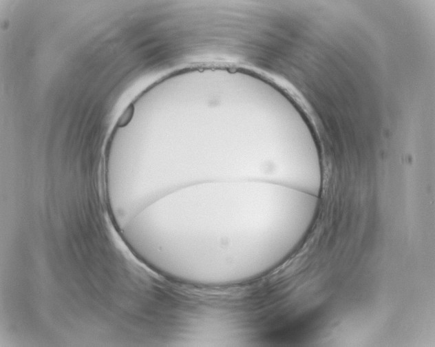 X0000059061295200511041719