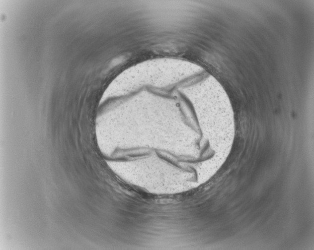 X0000059061297200511041718