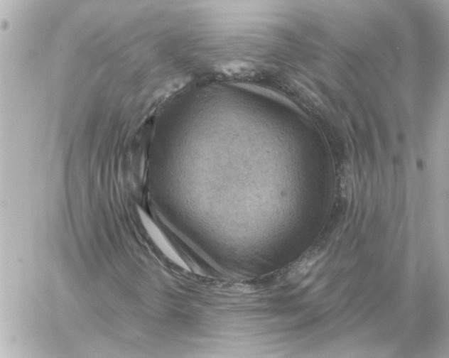 X0000059061298200511041718