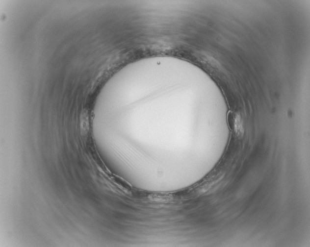 X0000059061299200511041718