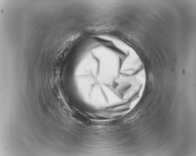 X0000059061300200511041718