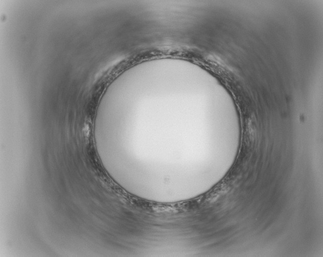 X0000059061302200511041718