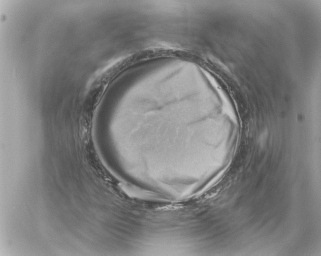 X0000059061303200511041718