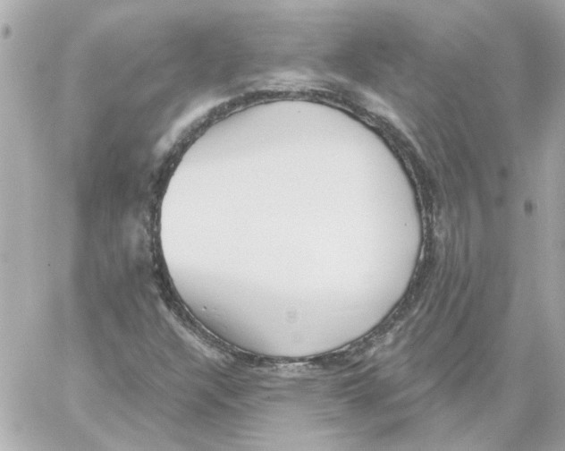 X0000059061304200511041718