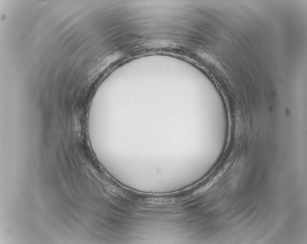 X0000059061305200511041718