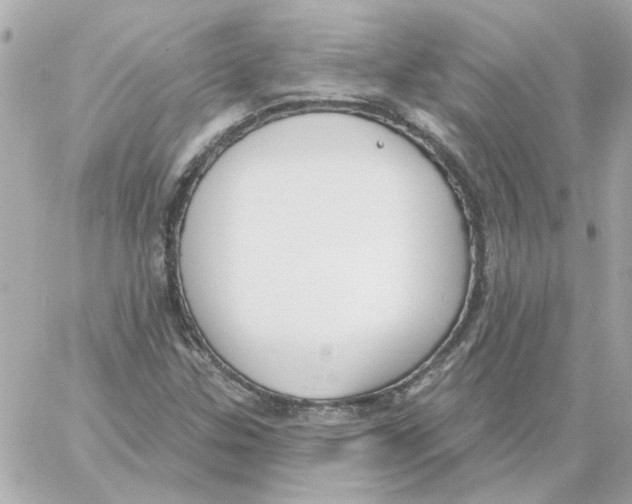 X0000059061307200511041718