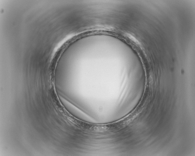 X0000059061310200511041718