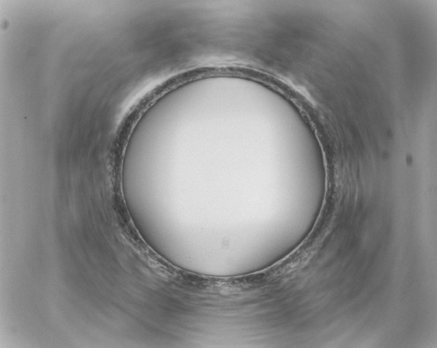 X0000059061311200511041718