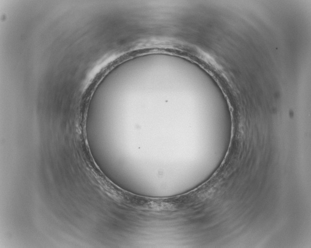 X0000059061312200511041718