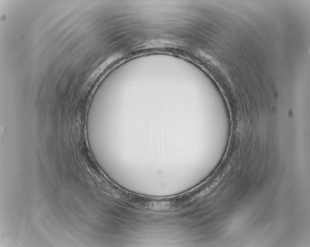 X0000059061313200511041718