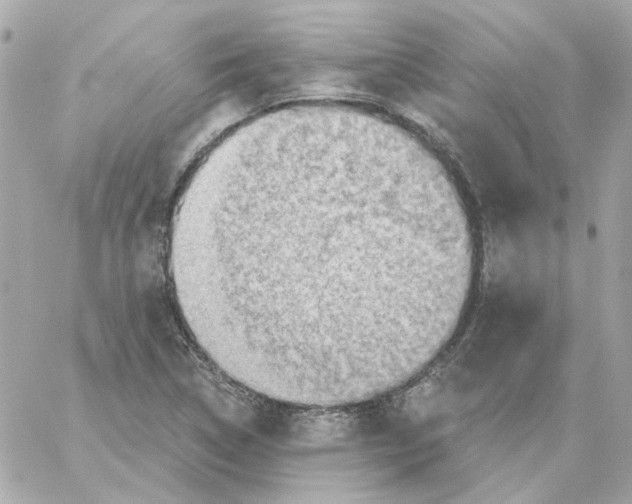 X0000059061314200511041718